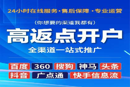 SEM专员案例：数据分析与优化